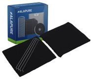 Alapure Filtre à charbon longue durée, compatible avec les modèles Electrolux MCFE38 / 4055385076 (lot de 2)