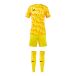 Joma Doelmannen set met shirt en short kind Area
