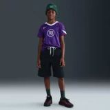 NIKE Functioneel shirt 'T90 ENERGY JSY 2' violetblauw / rood / wit