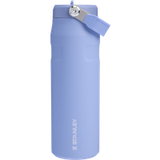 Stanley 1913 Fitness & hydratatie Drinkfles Unisex Zilver