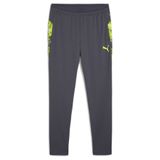 PUMA Bas de Survêtement IndividualCUP - Galactic Gray/Vert, pointure Small