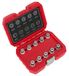 Sealey Sx208 verrouillage Écrou de roue de clés 10pc – BMW et Mini