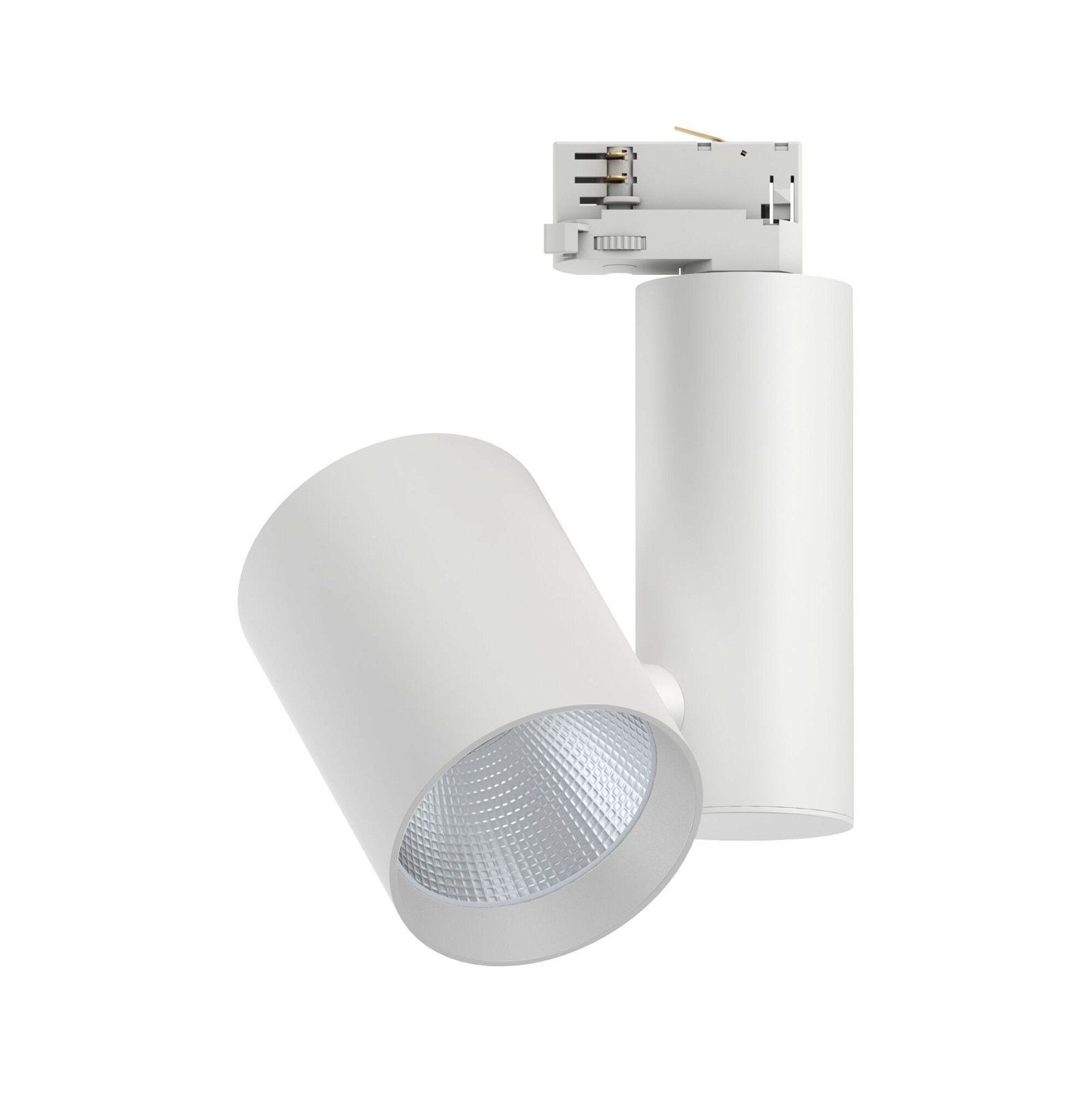 Paulmann 91350 Spot - 3680 Lumen - Dimbare - Metaal/Kunststof - Neutraal Wit - Wit