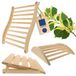 Sauna accessoires saunaset - Ergonomische rugleuning - Hoofdsteun en beensteun van linde