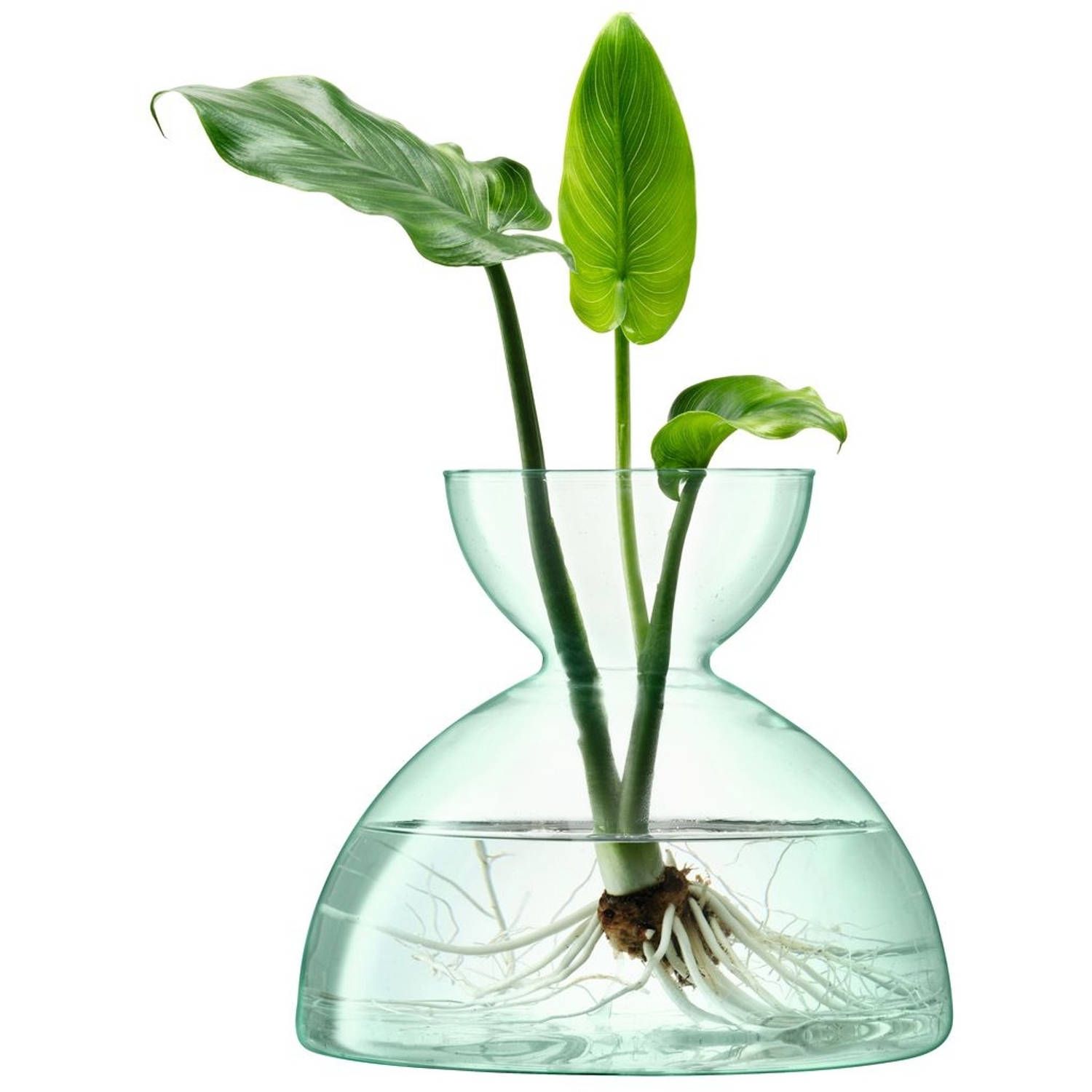 LSA International Canopy Vaas - Ø 20,7 cm - 18,2 cm Hoog - Transparant