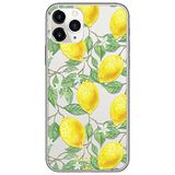 ERT GROUP mobiel telefoonhoesje voor Apple Iphone 11 PRO MAX origineel en officieel erkend Babaco patroon Fruits 002