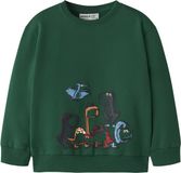 NAME IT Jongens Sweater NMMLEON LS NREG SWEAT BRU BOX - Evergreen - Maat 116