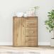 vidaXL Dressoir Artisan Eikenhout 60 x 31 x 70 cm Bewerkt hout