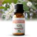 Zenful Tea Tree Olie - 100% Puur - Bio - Etherische olie - Natuurlijk & Vegan - Tea tree oil - Diffuser - Aromatherapie - Australian - Huid - Gezicht - Kalknagel - 10 ml