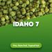 Idaho 7® Houblon 1 kg
