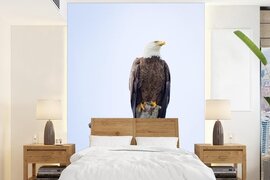 Nr1Wallpaper Behang - Fotobehang Adelaar - Amerika - Takken - Breedte 195 cm x hoogte 260 cm