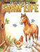 Realistic Farm Life Coloring Book