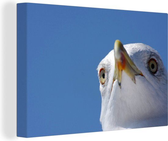 OneMillionCanvasses Canvas schilderij 180x120 cm - Zeemeeuw - Blauw - Modern - Rechthoek