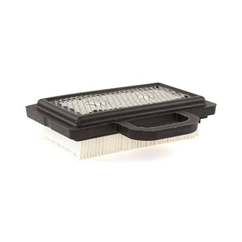 Briggs & Stratton Genuine Air Filter Cartridge 792101