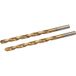 Labor HSS titanium metaalboor geslepen 4 x 75 mm 2 Stuks