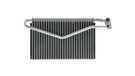 MAHLE AE 67 000P évaporateur BEHR PREMIUM LINE