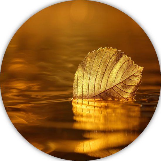 Merkloos / Sans marque Rond schilderij Water - Natuur muurcirkel - Forex - 50x50 cm - Goud/Amber/Brons/Koper/Oker