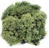 Glorex 63803606 schuim, donkergroen, 50 g