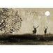 Papier peint panoramique forêt cerfs