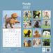 Avonside Poedel Kalender 2027 Wandkalender