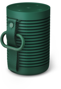 Bang & Olufsen Explore groen