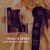 Bertus Distributie Franklin Bruno Cat May Look At A Queen