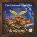 The Pinhead Autopilot: Poem about the Bogong Moth