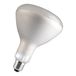 Philips Hue Philips Infraroodlamp R 125 IR 375 W E 27 230 250 V