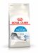 Royal Canin Indoor - 400 g - Kattenvoer Brokjes
