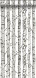 ESTAhome Behang Berken Boomstammen Licht Warm Grijs - 53 cm x 10.05 m - 138889