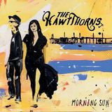FORTY BELOW RECORDS The Hawthorns Morning Sun