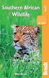 Southern African Wildlife: A Visitor's Guide