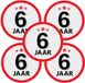 Bellatio Decorations 6 jaar leeftijd sticker - 10x - rond - Dia 15 cm - 6 jaar verjaardag - jubileum - leeftijd versiering