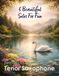 5 Beautiful Tenor Sax Solos for Fun: With FREE BACKING TRACKS and piano accompaniment: 13