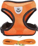 Luxyana Pets Easy Step-In Hondenharnas - S - Oranje - Kleine Honden & Katten - Incl. Riem