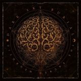 Sonic Rendezvous Dark Sky Burial - The Sacred Neurtic (LP) (Coloured Vinyl)
