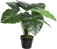 Bellatio Flowers & Plants Groene Colocasia/taro kunstplant 52 cm in zwarte pot