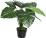 Bellatio Flowers & Plants Groene Colocasia/taro kunstplant 52 cm in zwarte pot