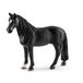 Schleich Farm Life 13832