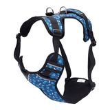 TOTTO - Borstharnas voor honden, model Heikul, maat XL, klein hondenharnas, verstelbaar, reflecterende details, lus en handvat, eenvoudig aan te brengen, licht, met blauw en groen botpatroon
