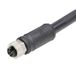 Molex 1205000328 M12 Female Straight Connector, 1m, 4-Pole