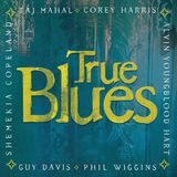 Proper S&D Consignment Telarc True Blues