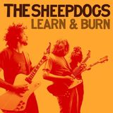Suburban The Sheepdogs Learn & Burn