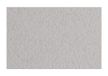 Tiziano Mistkarton 50 FG A4 160 GR 1PZ