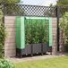 vidaXL abri de jardin avec couverture de serre et roues 3 pièces noir PP