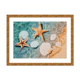 Trimits Bedrukte kruissteekkits - Bedrukte borduurnaalden voor volwassenen, beginners, kinderen, Kerstmis, geschenken, kunst aan de muur, Crystal Shore