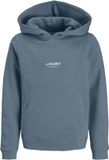 Jack & Jones Junior Hoodie Bedrukt Hoodie Junior