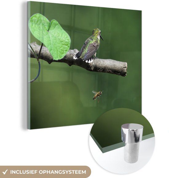MuchoWow® Glass Painting 50x50 cm - Acrylic Glass Painting - Bee and Hummingbird on a Faded Green Background - Photo on Glass - Paintings