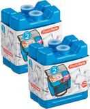 Plasticforte 100 grammes blocs réfrigérants - 4x pièces - 8 x 7.5 x 2.3 cm - bleu - plastique - avec imprimé flocon de neige