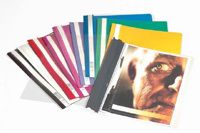 Durable Panda CLEAR VIEW FOLDER DURABLE 2570 A4 grijs